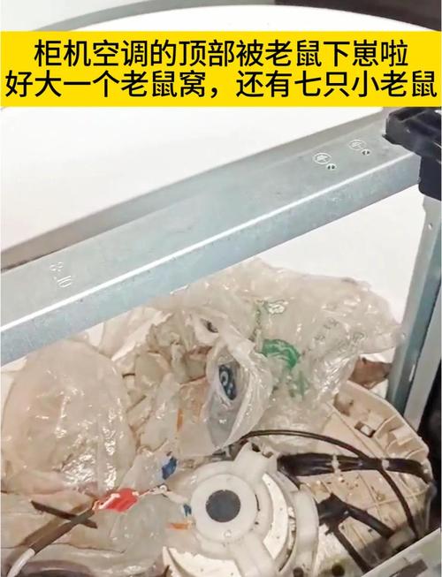 2025年天天开彩免费大全和男子洗空调捅到鼠窝与男子洗空调捅到鼠窝了