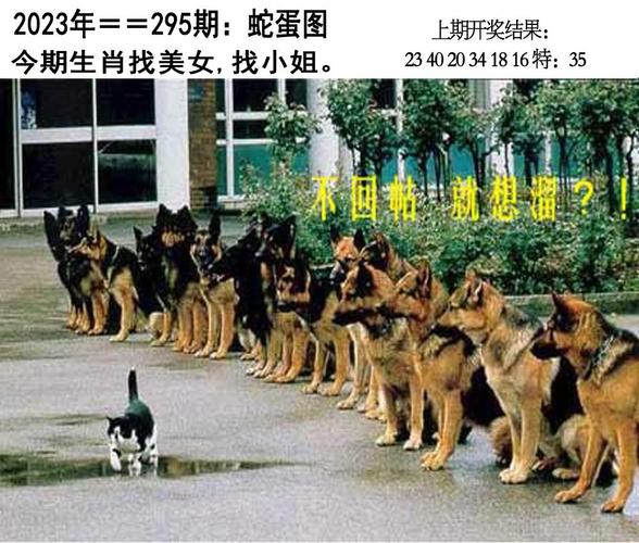 2025澳门天天彩开奖结果查询表和20多万的车14万卖与14到20万的车