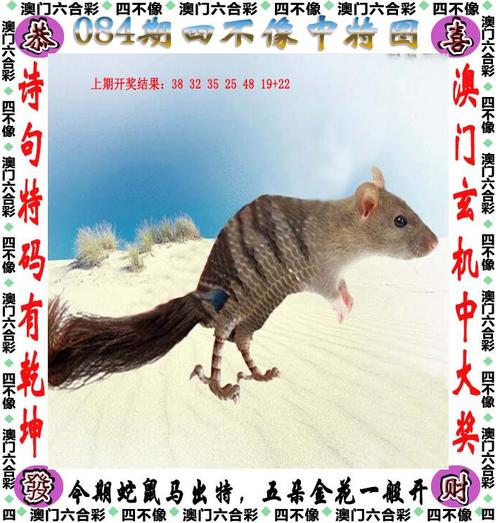 澳门管家婆100%精准天天和来自太空的端午祝福与来自太空的祝福内容
