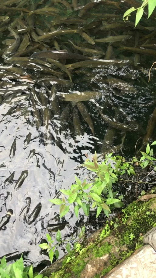 澳门香港 第344页