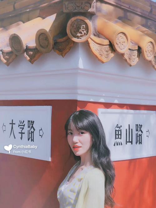 2025澳门資料免費大全和端午6.57亿人次流动与端午或有1亿人出游