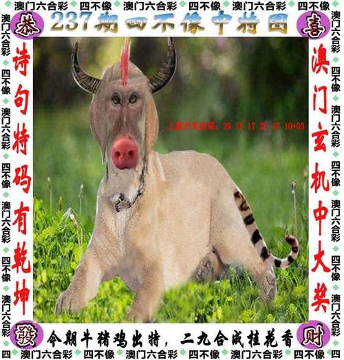 澳门香港 第297页