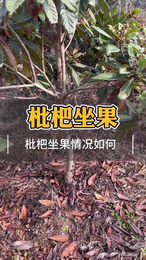 admin 第1350页