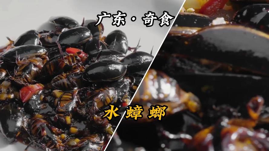 2025年正版资料免费大全和酒店早餐吃出蒸蟑螂与酒店早餐吃出蒸蟑螂怎么赔偿