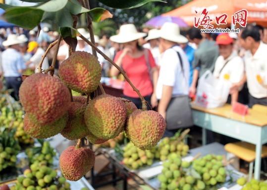 新闻中心 第110页