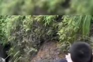 （教授雨夜爬山坠崖的故事）