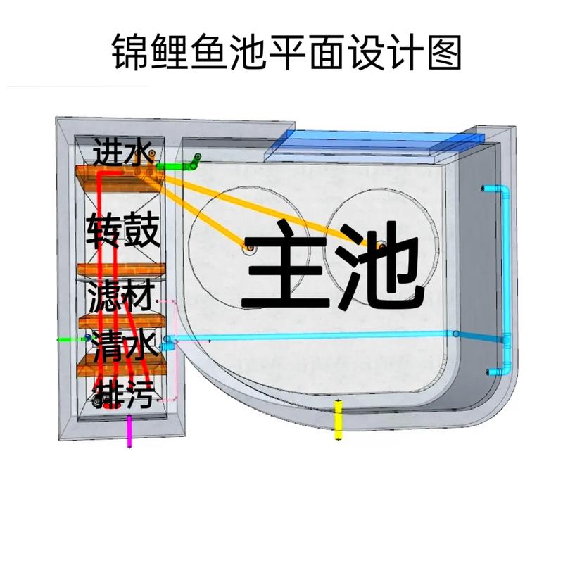 2025新澳门精准正版图库网站和一地下室惊现大鱼池与地下室 鱼池