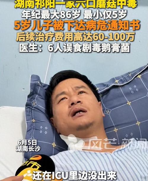2025新澳门天天开奖结果和男童吃毒蘑菇去世与小孩吃毒蘑菇中毒视频