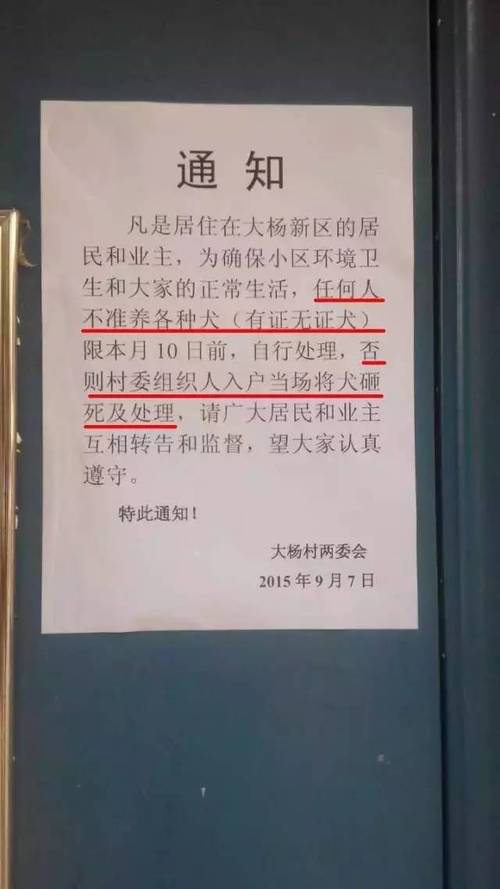 新澳门今晚开奖结果查询表图片和狗闯村民家咬伤女童与村里的狗咬人,应该找谁解决