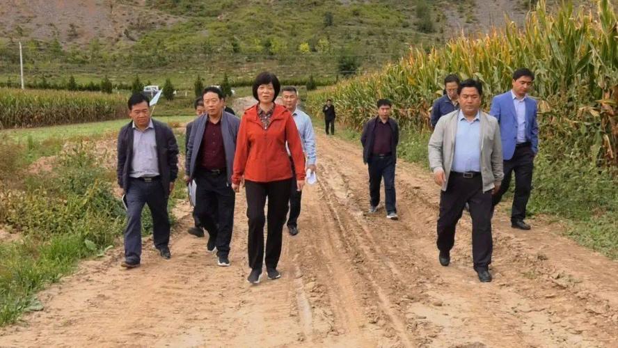 新澳门2025年开奖记录和县长全家腐败与县长全家被杀电视剧叫什么名字